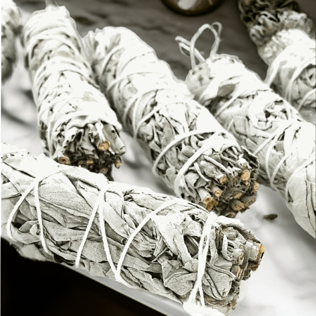 6 pack of white sage bundles